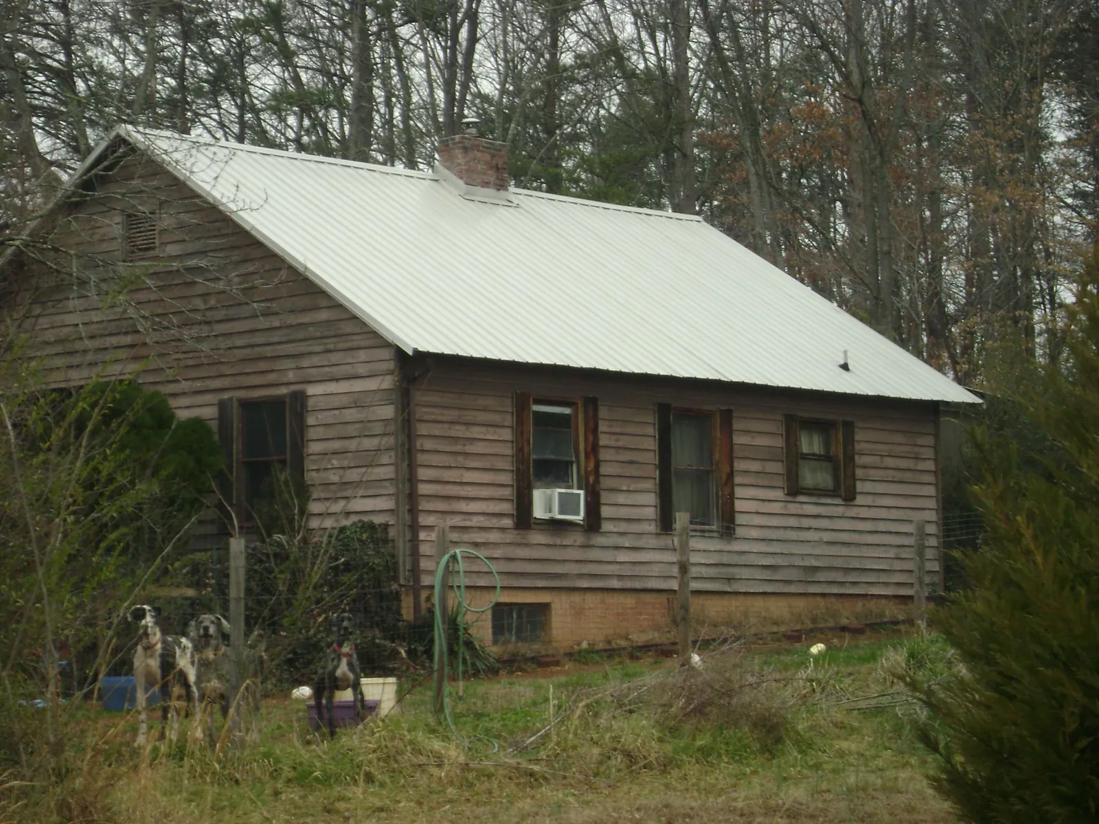 White metal roof on an old wood sided farmhouse, from a Asphalt Shingle Roof Repair job in Cynthiana